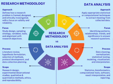 Infographic comparing research and data analysis